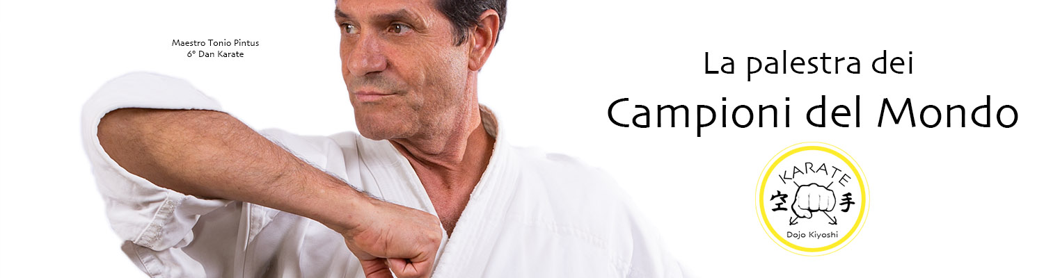 Dojo Kiyoshi - La palestra dei campioni del mondo